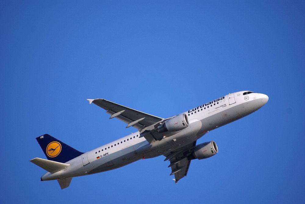 D-AIPE.JPG