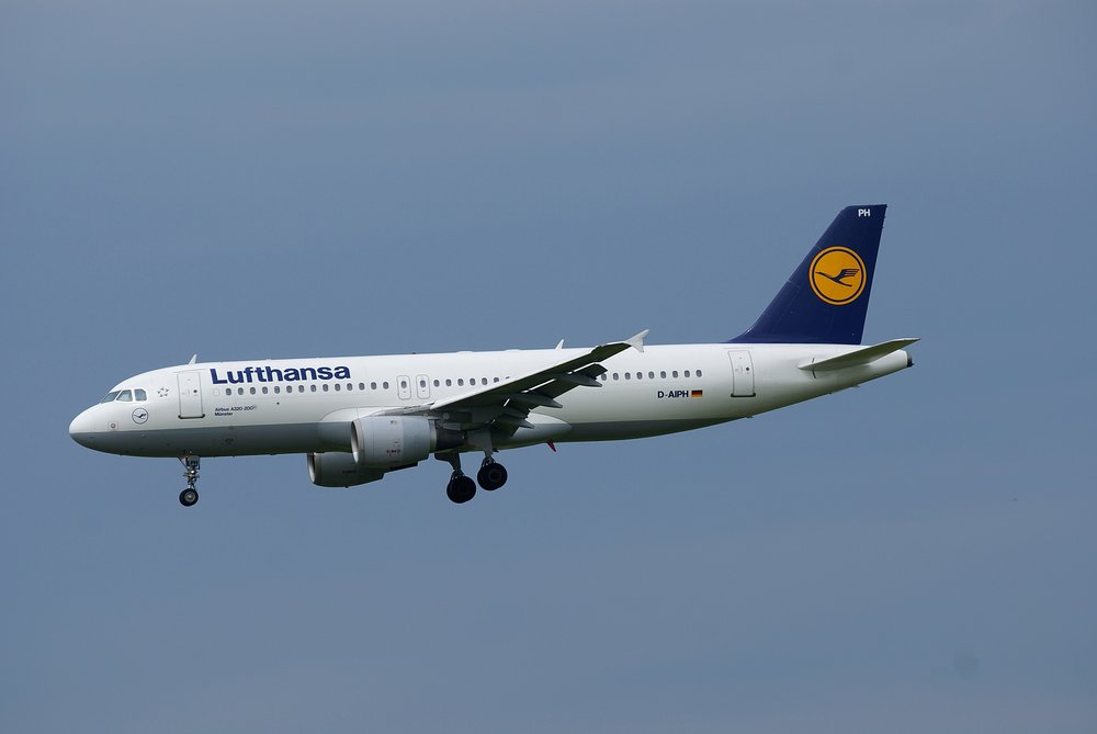 D-AIPH-1.JPG