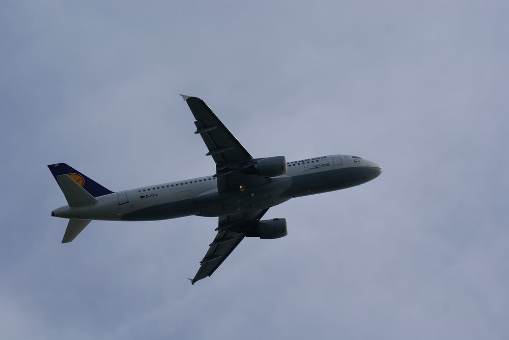 D-AIPL-1.JPG