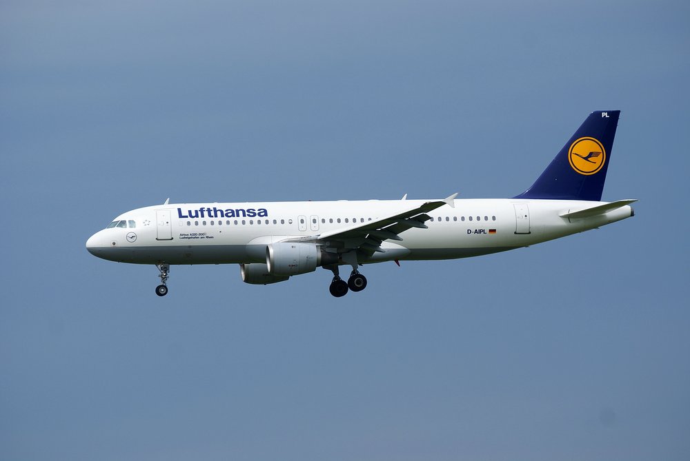 D-AIPL-2.JPG