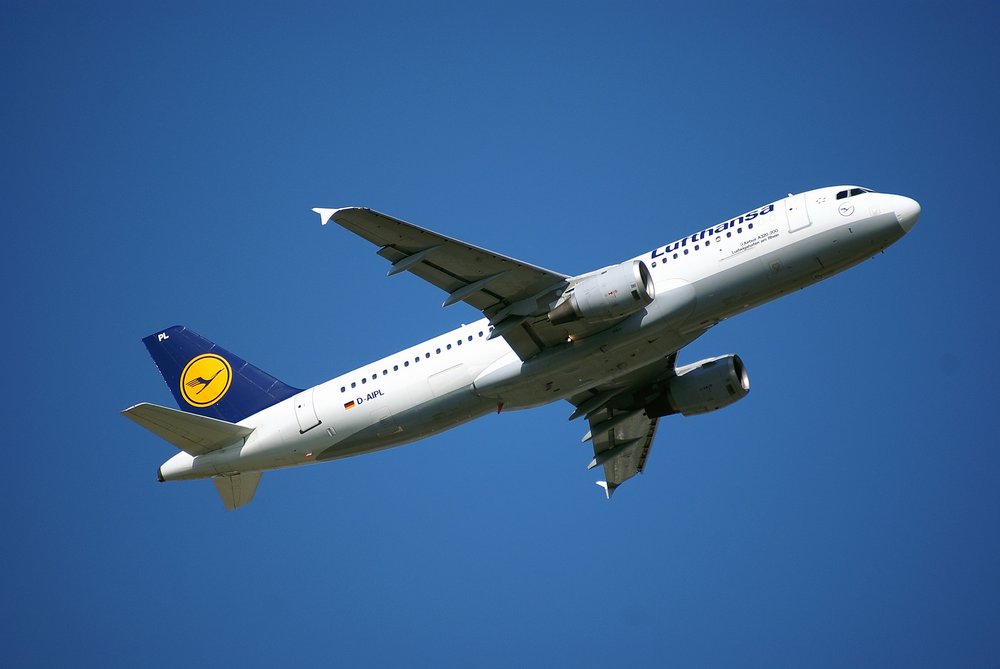 D-AIPL.JPG