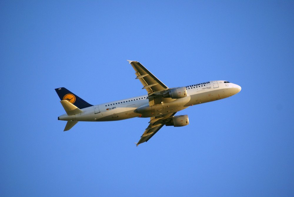D-AIPT.JPG