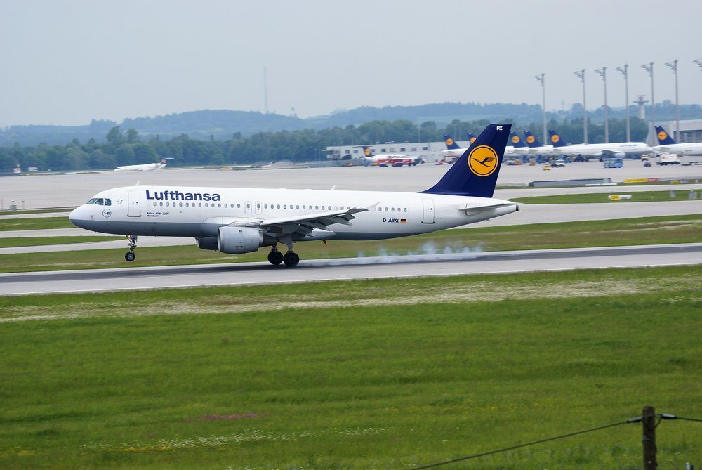 D-AIPX-1.JPG