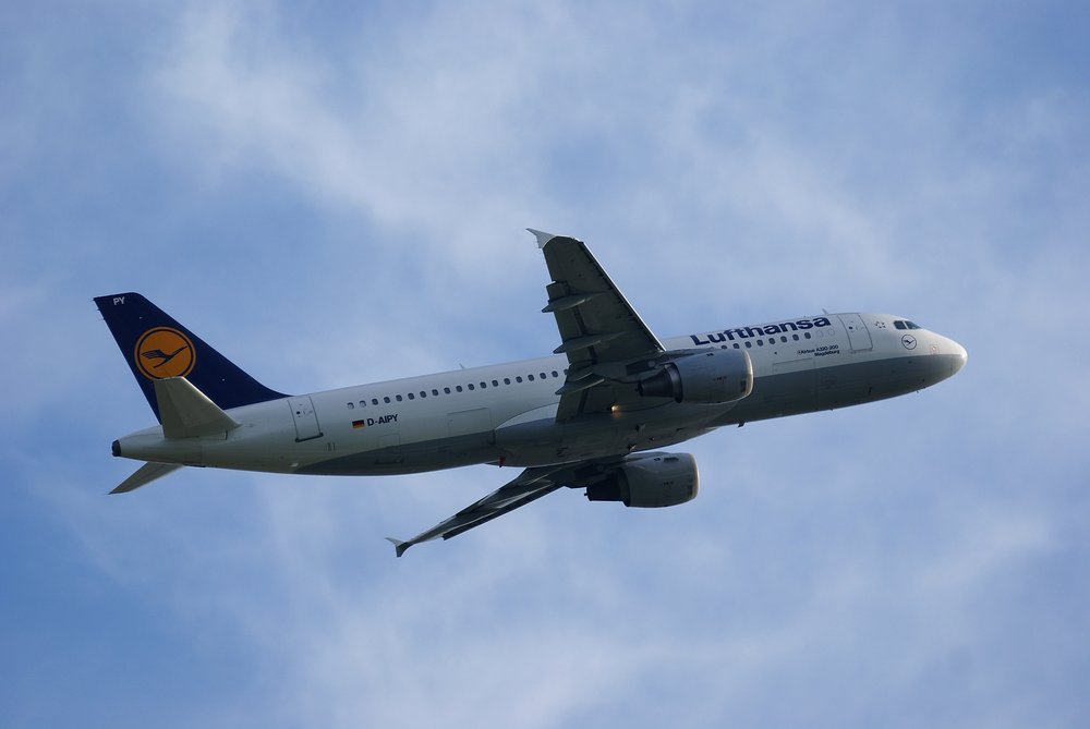D-AIPY.JPG