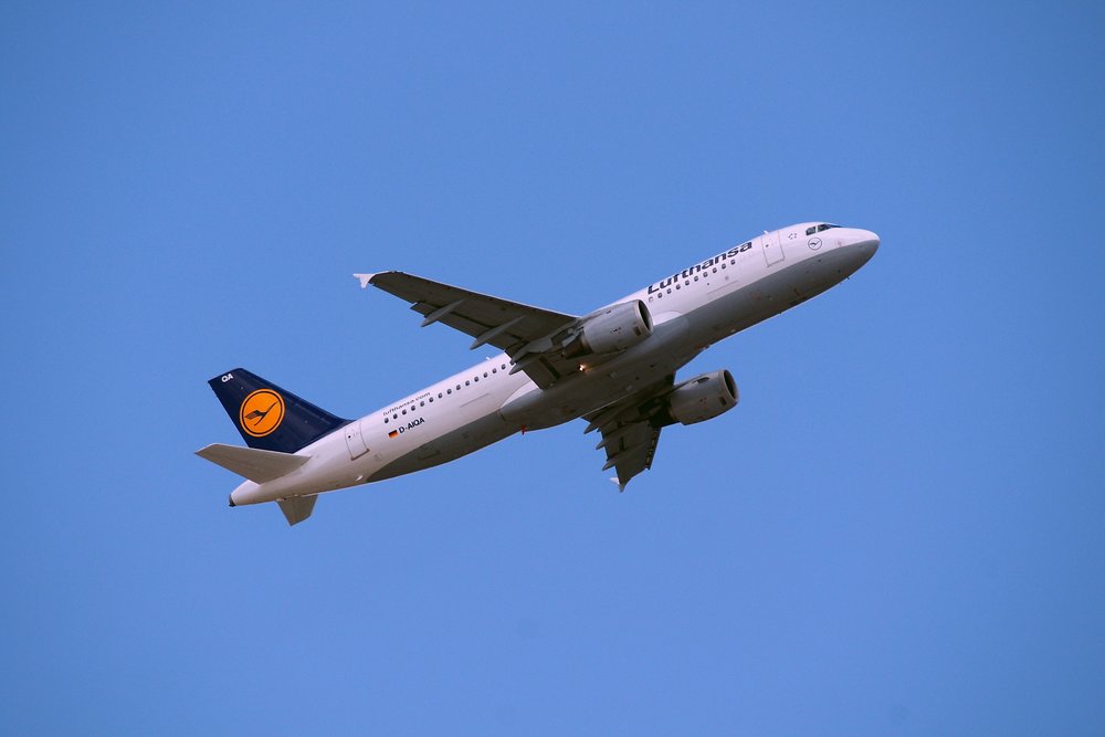 D-AIQA-1.JPG