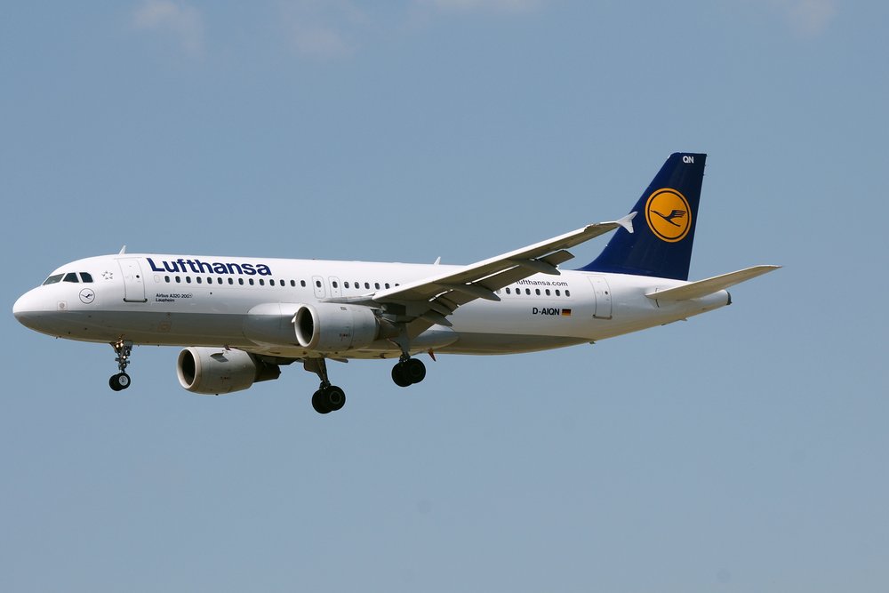 D-AIQN-2.JPG