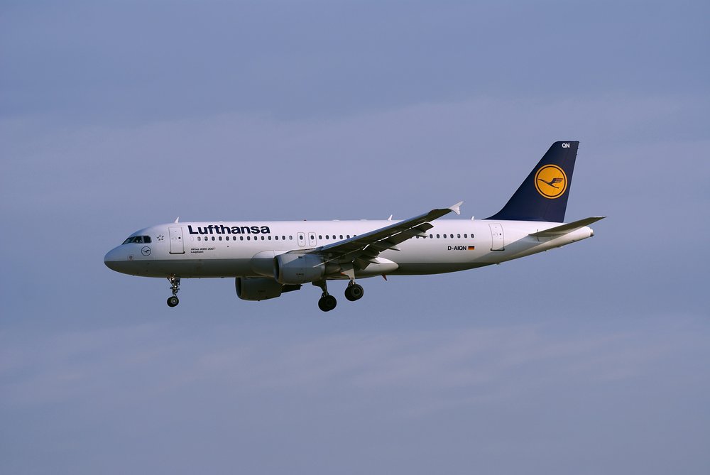 D-AIQN.JPG