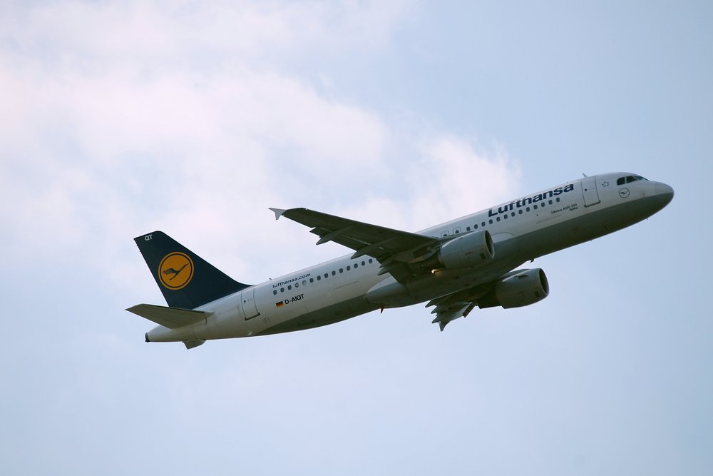 D-AIQT-1.JPG