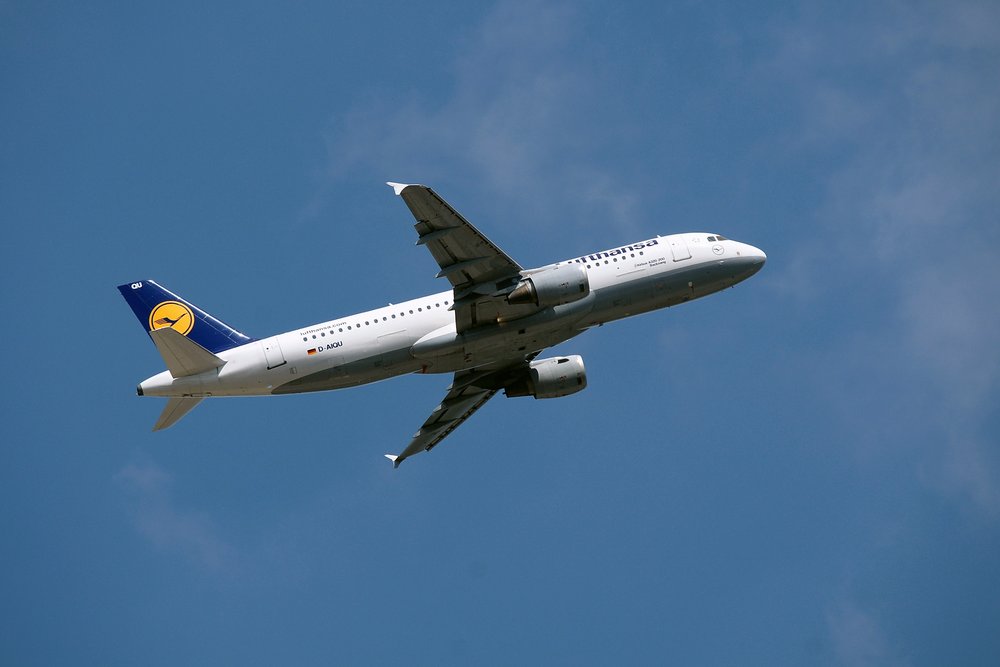 D-AIQU-1.JPG