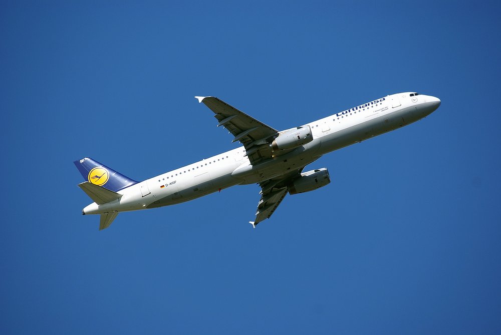 D-AISF.JPG