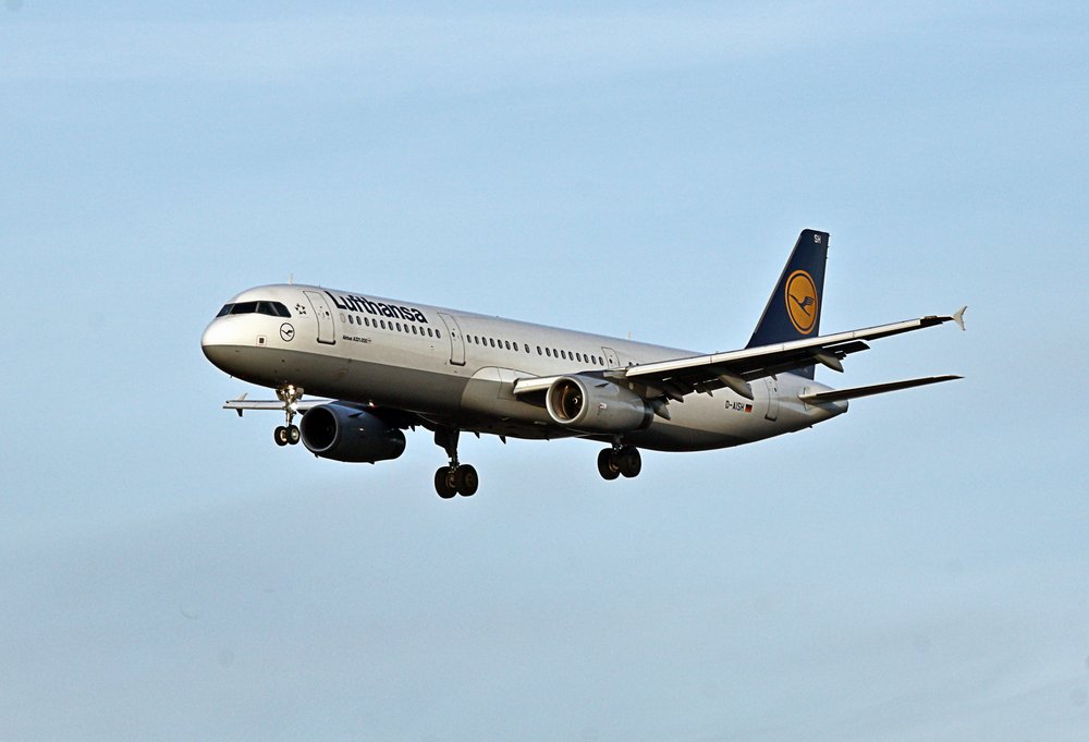 D-AISH-1.jpg