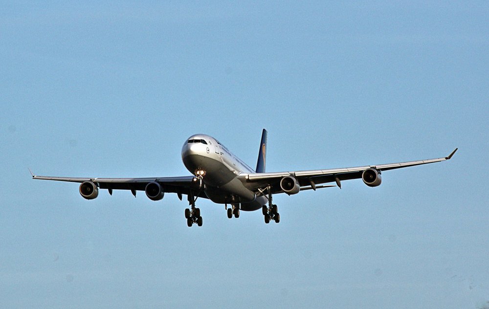 D-AISH.jpg
