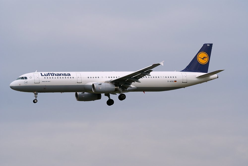 D-AISQ.JPG