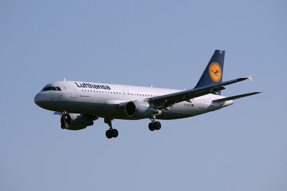 D-AIZD-1.JPG