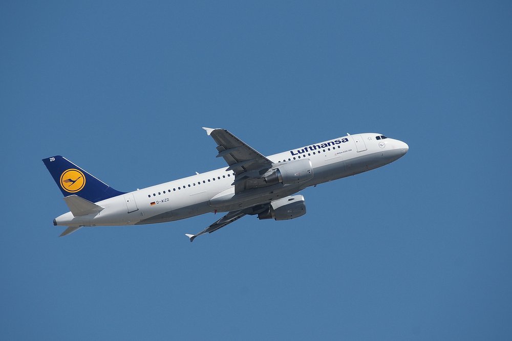 D-AIZD-2.JPG