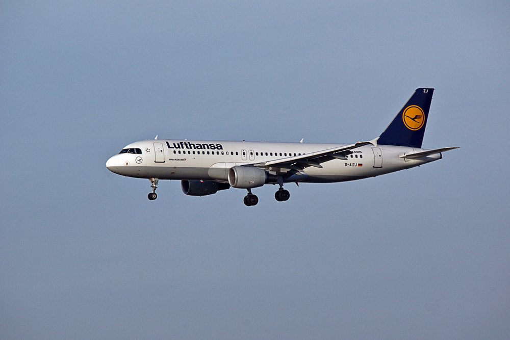 D-AIZJ.jpg