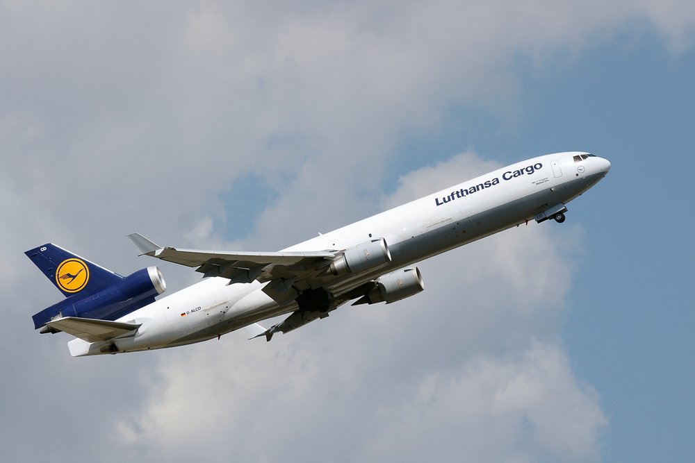 D-ALCD-1.JPG