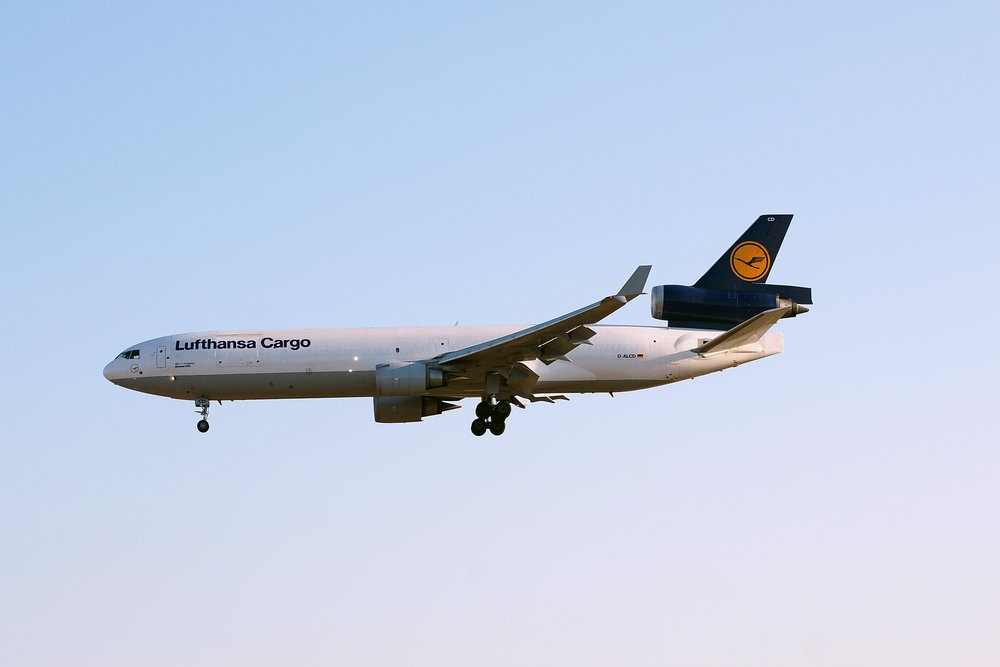 D-ALCD.JPG