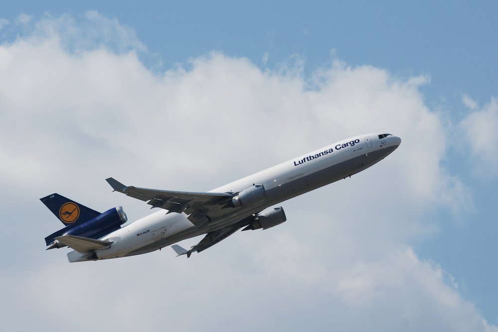 D-ALCM-1.JPG