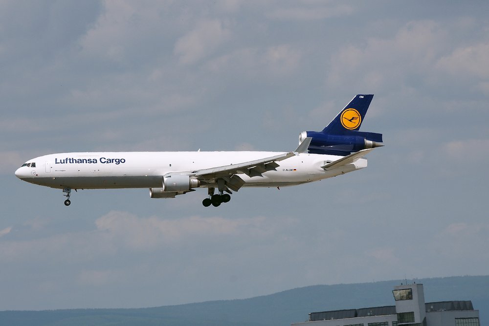 D-ALCM-2.JPG
