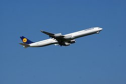 D-AIHT.jpg