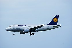D-AILB-1.JPG