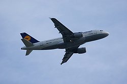 D-AILC-1.JPG