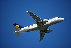 D-AILC-3.JPG