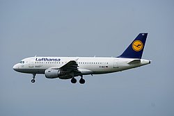 D-AILC.JPG