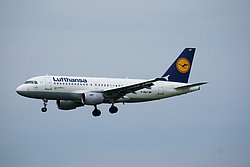 D-AILF-2.JPG