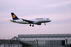 D-AILK.JPG