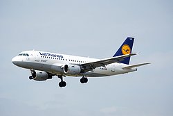 D-AILN.jpg