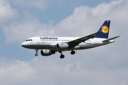 D-AILR-2.JPG