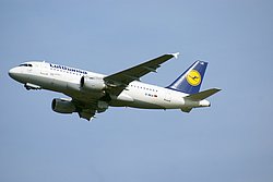 D-AILS-1.jpg
