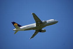 D-AILT-1.JPG