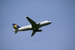 D-AILY.JPG