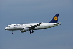 D-AIPH-1.JPG
