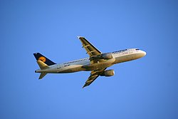 D-AIPT.JPG