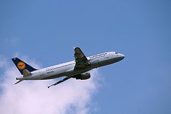 D-AIQN-1.JPG