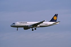 D-AIQN.JPG