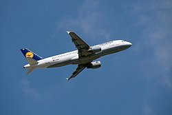 D-AIQU-1.JPG
