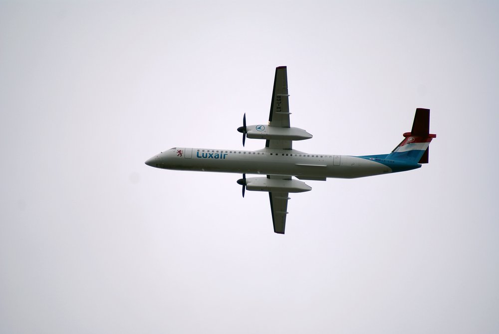 LX-LGA-2.JPG