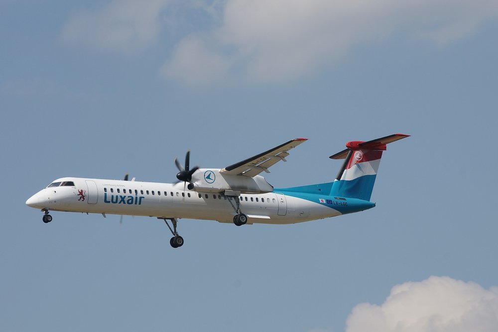 LX-LGC.JPG