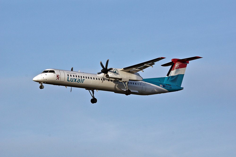 LX-LGH-01.jpg