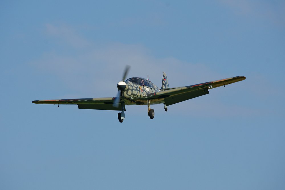 D-ELLM-2.jpg