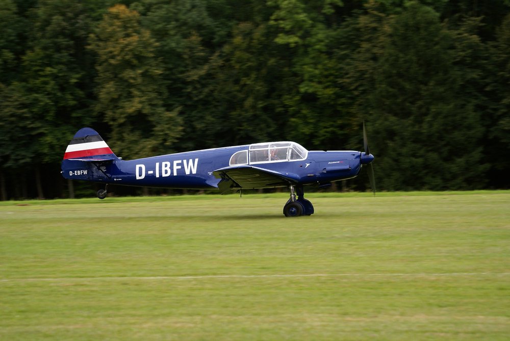 D-IBFW-2.jpg