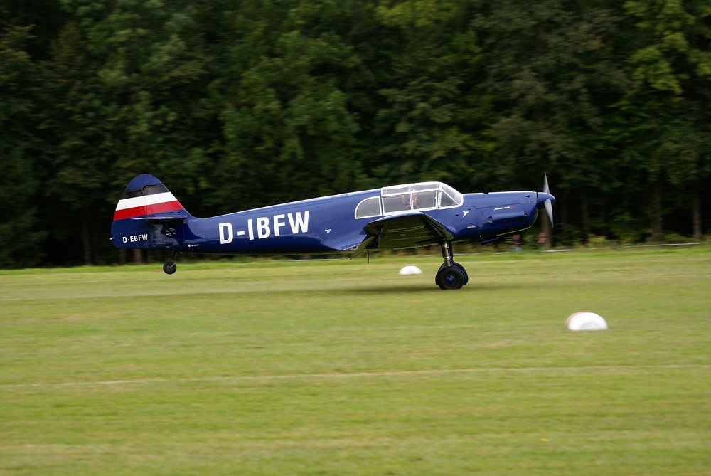 D-IBFW-3.jpg