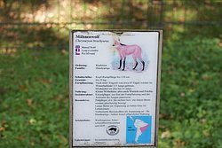 DSC01778.JPG