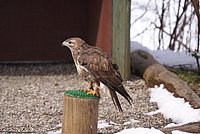 DSC06016.JPG