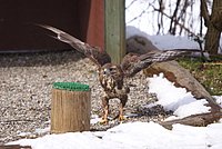 DSC06017.JPG